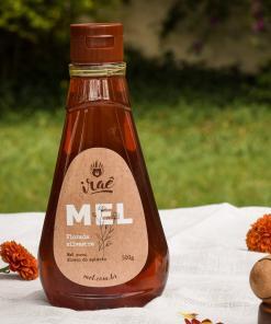 Mel Silvestre Multifloral: Floradas Gourmet - Mel Puro direto do produtor