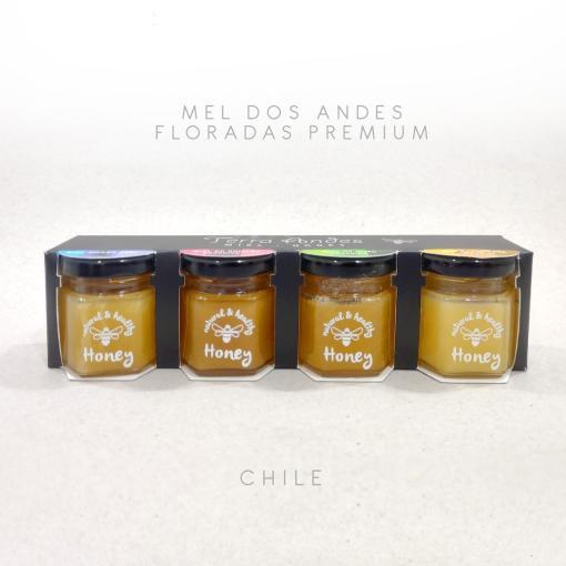 mel-premium-andes-flores-chile