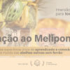 visitacao-ao-meliponario-imersao-jatai-asf-cursos-workshop-sp-sao-paulo.jpg