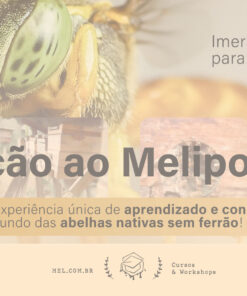 visitacao-ao-meliponario-imersao-jatai-asf-cursos-workshop-sp-sao-paulo.jpg