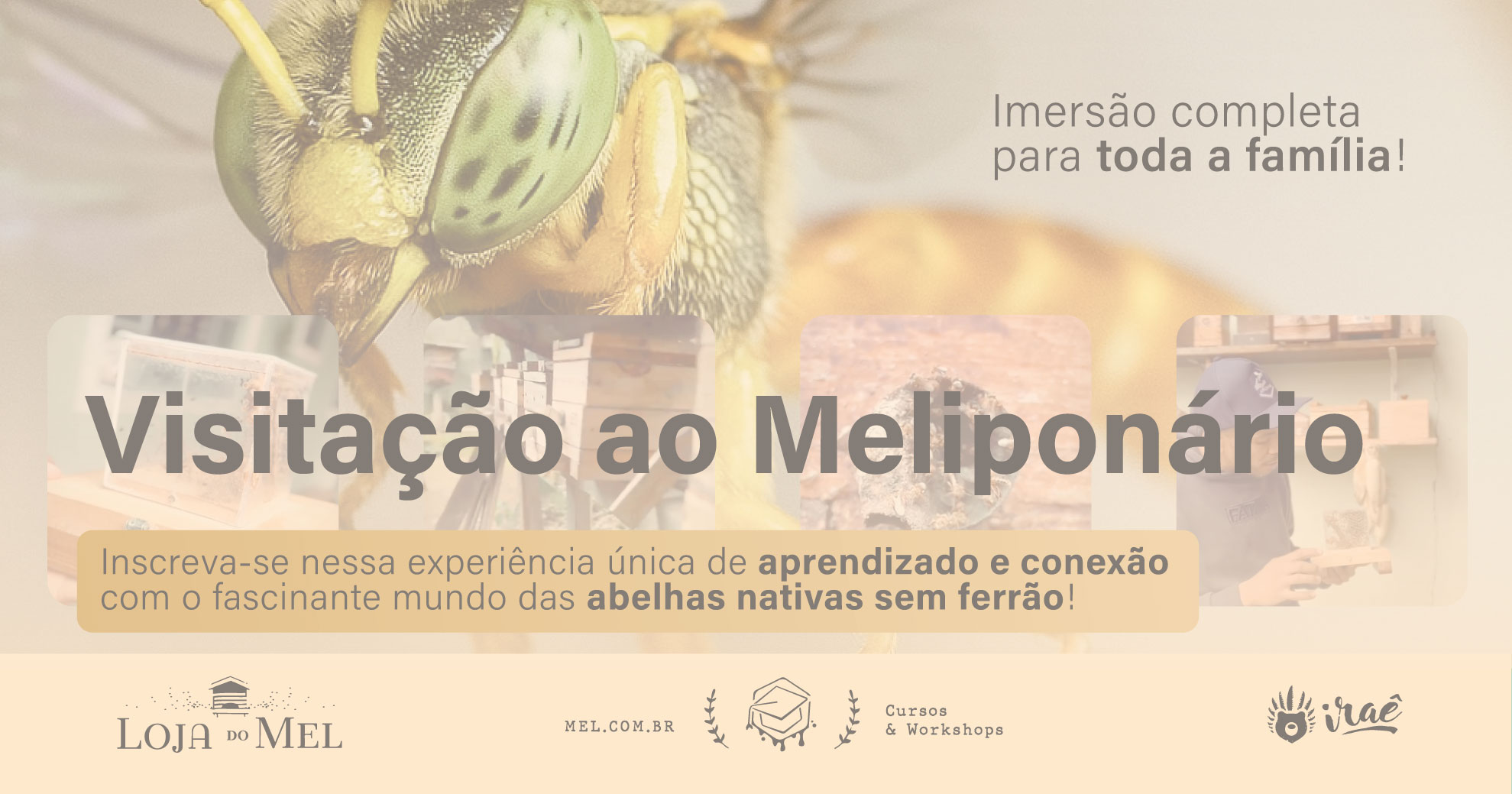 Educação ao Ar Livre: Visitação Guiada ao Meliponário
