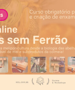 abelhas sem ferrão, meliponário, criação de jataí, educação ambiental, curso ao ar livre, aprendizado em campo, meliponicultura, visita ao meliponário, manejo de abelhas, sustentabilidade, biodiversidade, natureza, polinização, agroecologia, conservação ambiental, vivência na natureza