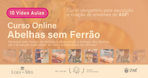 abelhas sem ferrão, meliponário, criação de jataí, educação ambiental, curso ao ar livre, aprendizado em campo, meliponicultura, visita ao meliponário, manejo de abelhas, sustentabilidade, biodiversidade, natureza, polinização, agroecologia, conservação ambiental, vivência na natureza