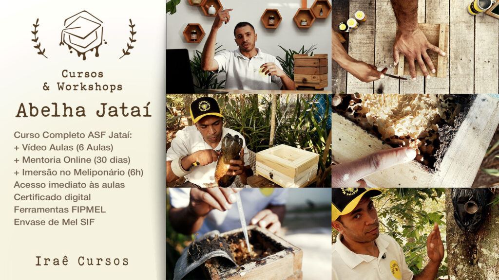 Curso-Completo-Abelha-Jatai3 Mentoria