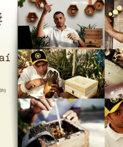 Curso-Completo-Abelha-Jatai3 Mentoria